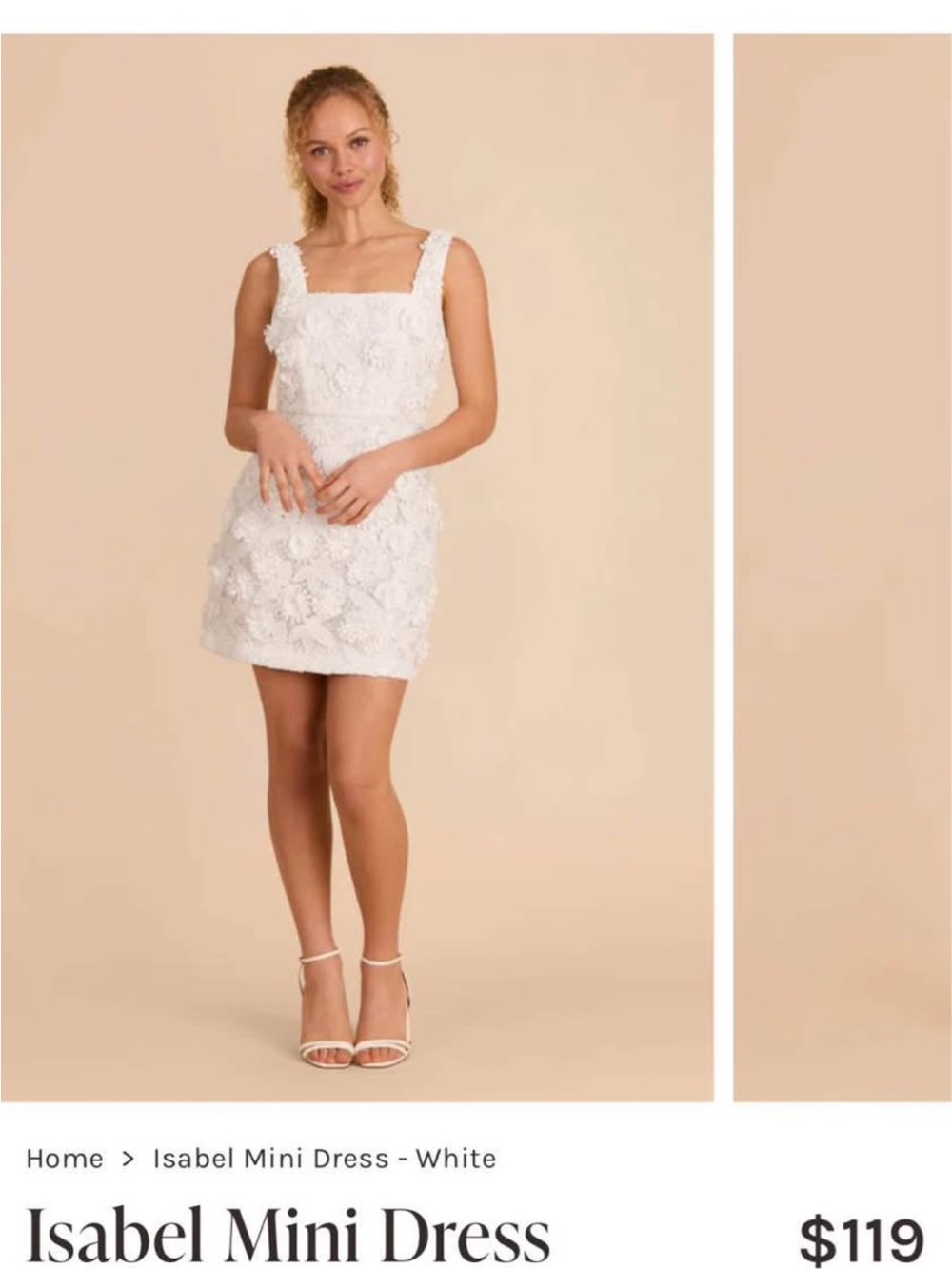 Birdy Grey White Floral Applique Mini Dress